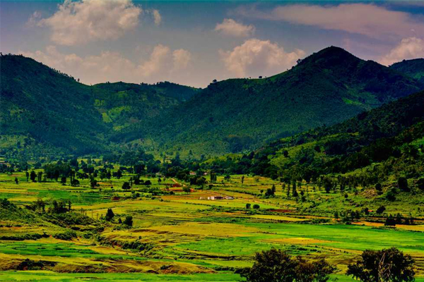 Araku Valley
